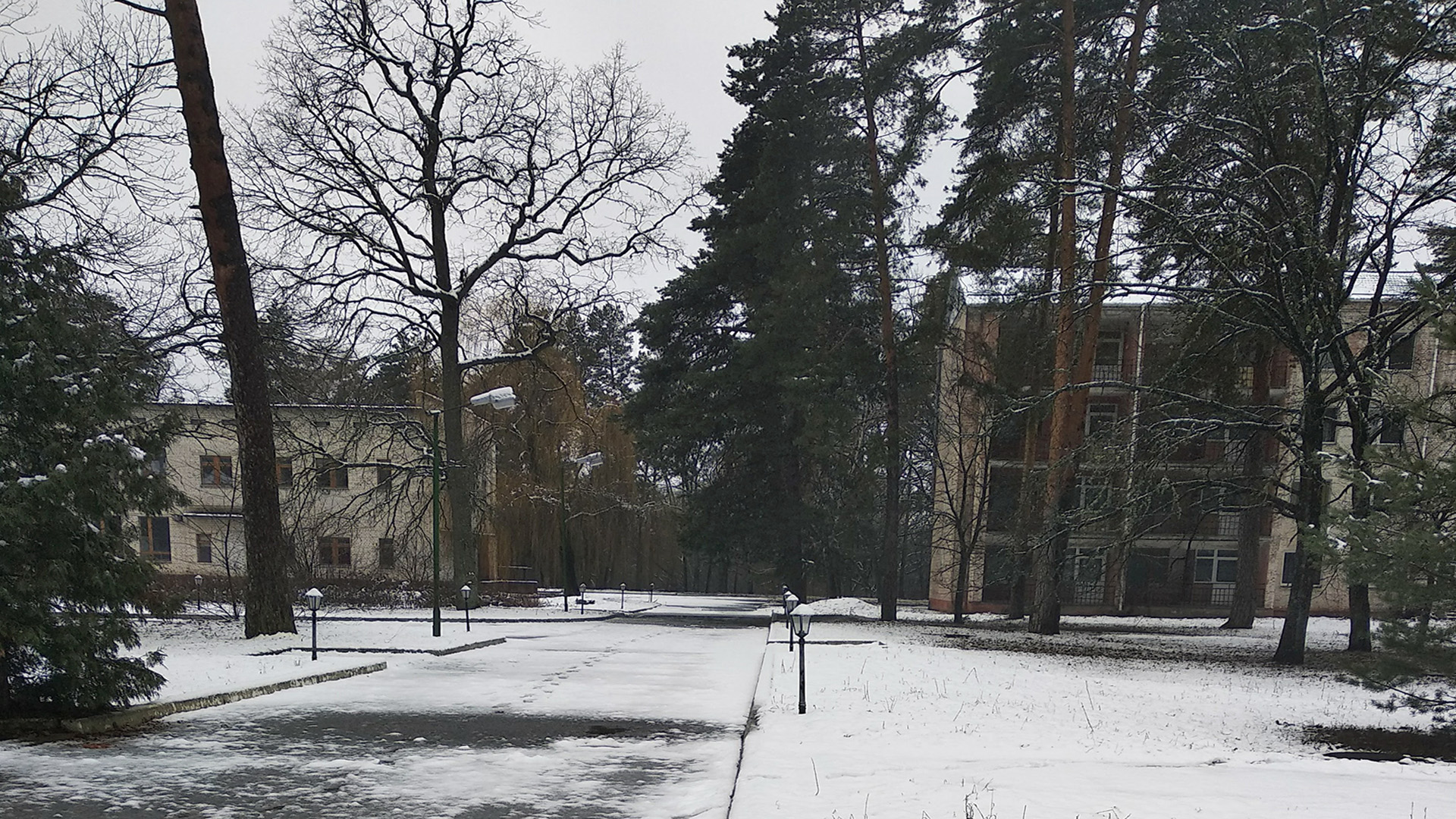 Реабілітаційні програми центру